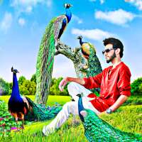 Peacock photo editor frames on 9Apps