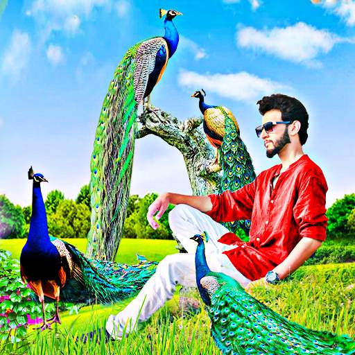 Peacock photo editor frames 1.0.3