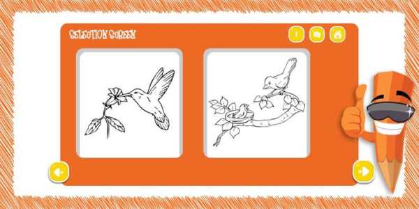 Bird Colouring screenshot 3