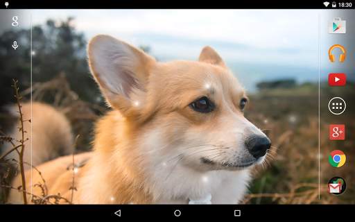 Puppies Live Wallpaper screenshot 10