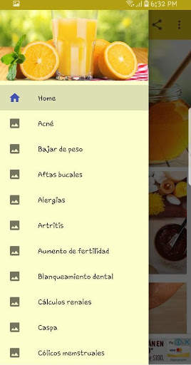 Tratamientos Caseros screenshot 2