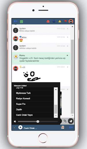 chat screenshot 4