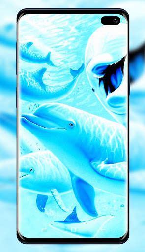 Dolphins Wallpaper screenshot 8