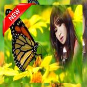 Butterfly Photo frame 1.2
