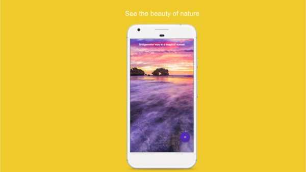 Nature, Bird and Flowers HD 4K Wallpaper (Flickr) screenshot 3