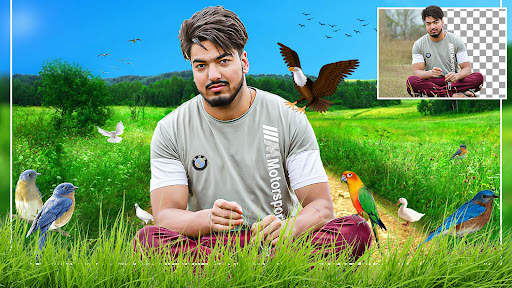 Bird Photo Editor Pro 2024 screenshot 3