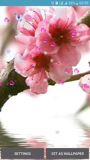 Flower Spring Live Wallpapers screenshot 3