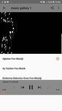 Popular Background Musics screenshot 8