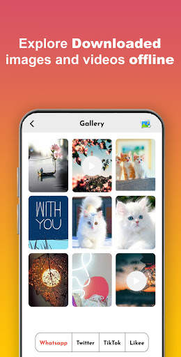 VidDown - Video Downloader for Social Media screenshot 8