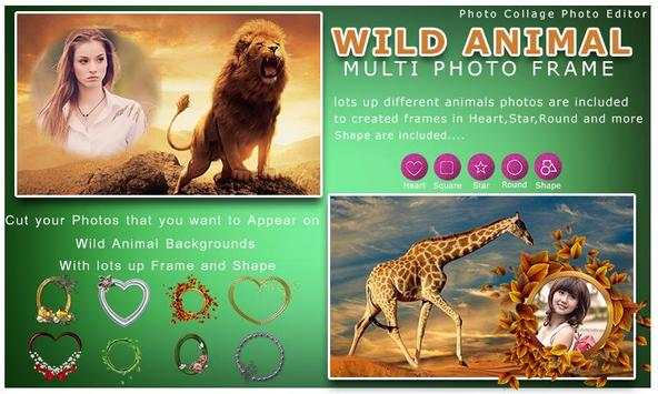Wild Animal Photo Frame Multi 6 تصوير الشاشة