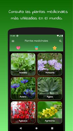 myRemedy: Plantas medicinales y sus usos screenshot 1