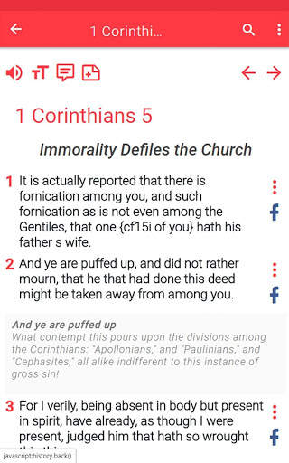 NRSV Bible app screenshot 14