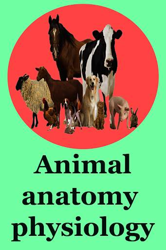 Animal anatomy physiology screenshot 1