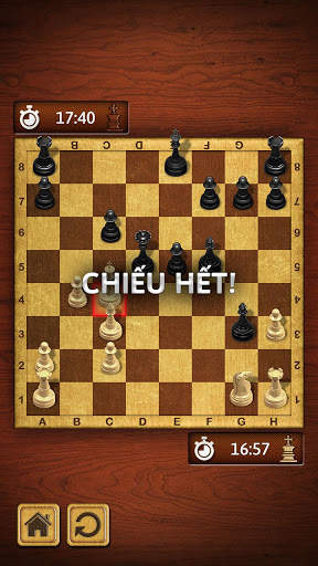 Cờ Vua screenshot 4