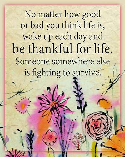 Lessons In Life Quotes 2 تصوير الشاشة