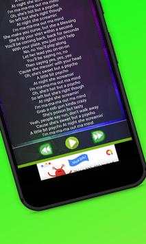 All Lyrics Songs Of Ava Max screenshot 4