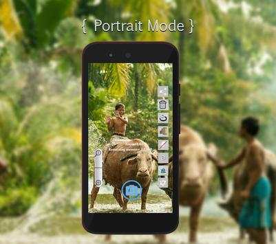 Professional Digital Camera screenshot 2