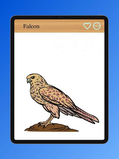 How to Draw Birds of Prey screenshot 14