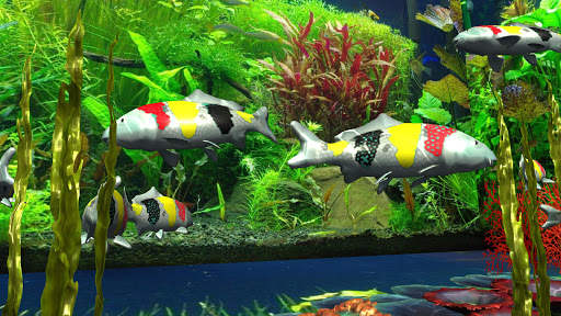 3D Koi Special Live Wallpaper Pro screenshot 5
