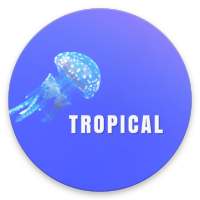 Tropical KWGT on 9Apps