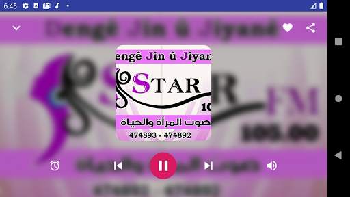Rojava Radios FM screenshot 10