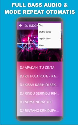 DJ India Teri Meri Tiktok - Full Offline screenshot 6
