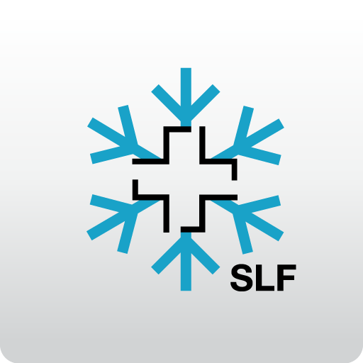 White Risk - SLF Avalanche App icon