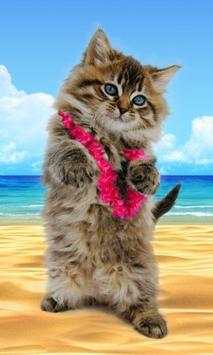 Funny cats Dancing and playing screenshot 4