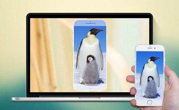 Miracast : Mirror Screen Sharing using wifi screenshot 3