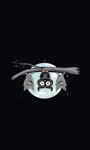 Funny Owl Wallpaper screenshot 15