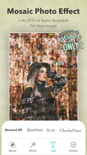 Mosaic Photo Effect : Photo Editor & Photo Collage screenshot 4