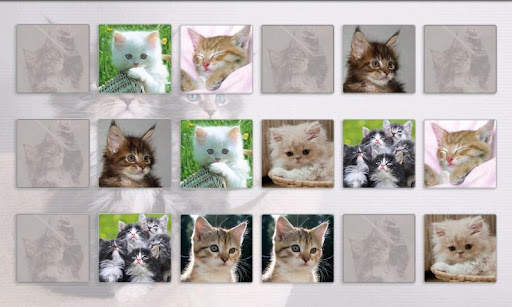 Cats Memory Game Free screenshot 5