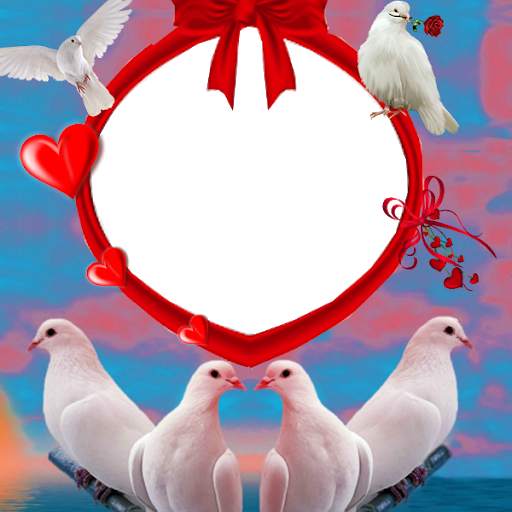 Dove Insta DP 1 تصوير الشاشة