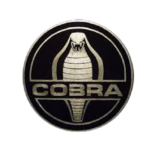 CobraX App иконка