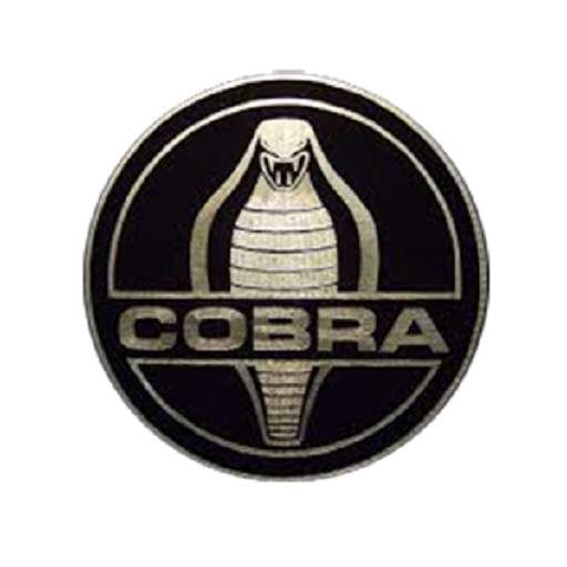 CobraX App 21