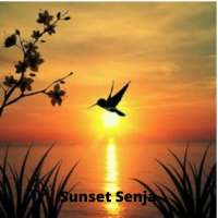 Sunset Wallpapers 4K icon