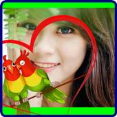 Selfie Camera (Hd - Filters) 1.0