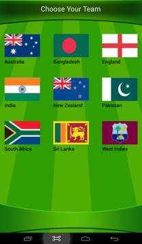 The Best Cricket Game Ever screenshot 11