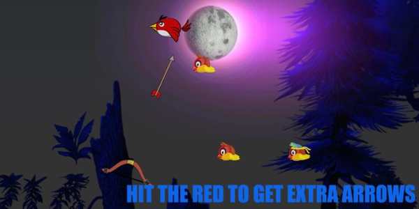 Angry Hunting Birds screenshot 3