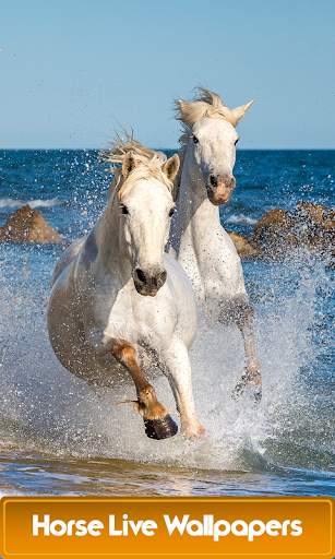Horse Live Wallpapers screenshot 1