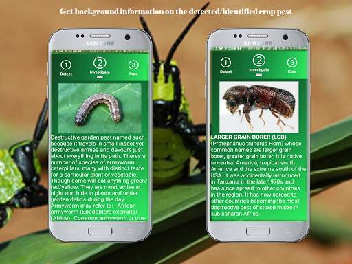 Pest Detector screenshot 3