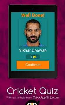 Cricket Challange screenshot 9