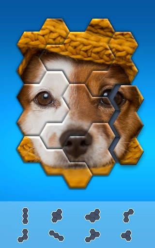 Block Hexa Puzzle - jigsaw puzzles for free screenshot 2