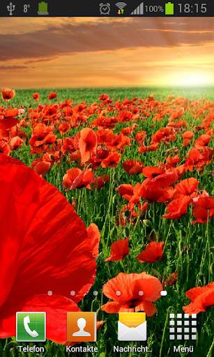 Poppies live wallpaper screenshot 1