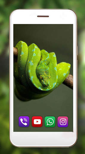 Snakes Best Live Wallpaper screenshot 5