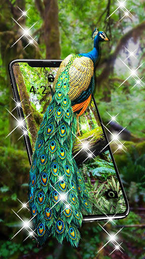 Peacock APUS Live Wallpaper screenshot 4