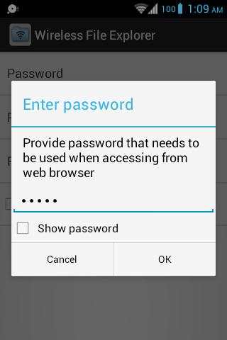 Wireless File Explorer 4 تصوير الشاشة