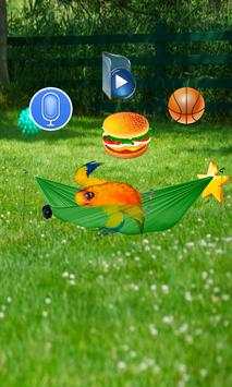 Funny Talking Parrot screenshot 7