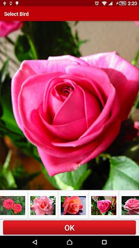 Flowers Live Wallpaper FREE screenshot 2