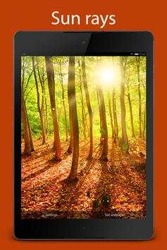 Forest Live Wallpaper screenshot 17
